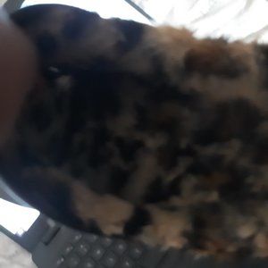 Black Crocs with fur inside